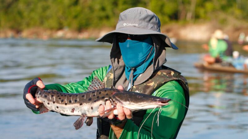 STF decide nesta terça-feira a legalidade de lei que restringe a pesca em MT; proposta divide opiniões