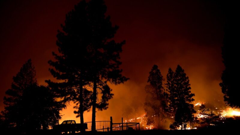 Incêndios florestais na Califórnia tornam seguros residenciais inacessíveis