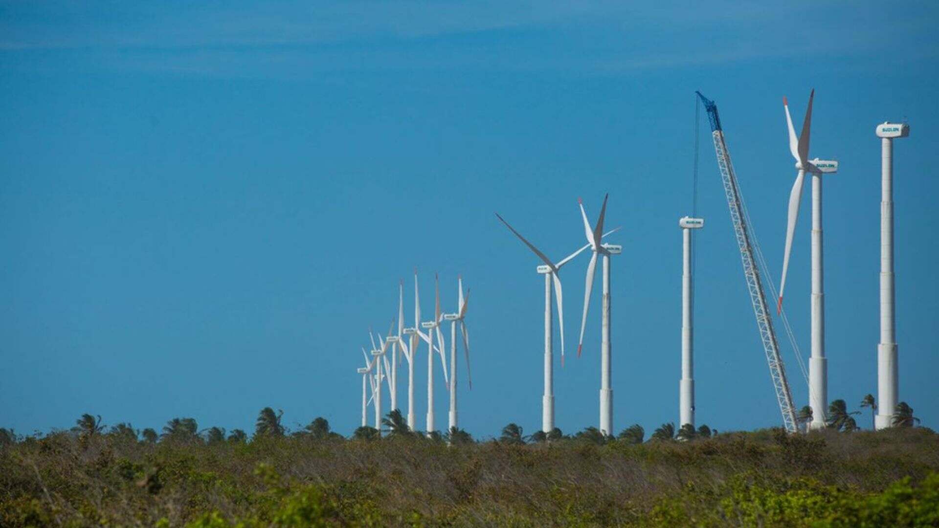 Nordeste tem segundo recorde consecutivo de geração de energia eólica