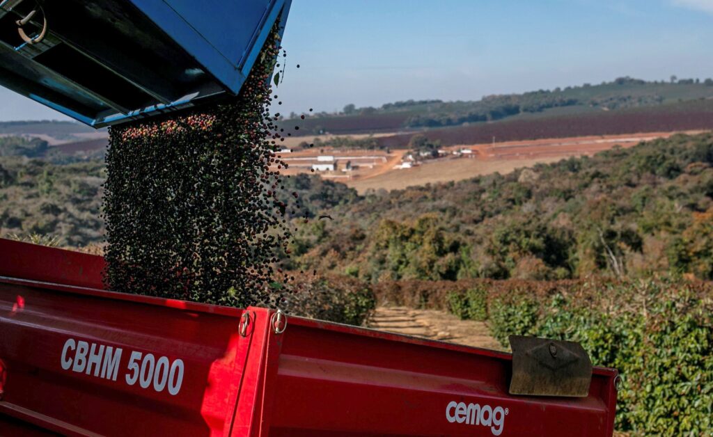 Preços do café e açúcar atingem novas máximas impulsionados por seca no Brasil – Jornal Advogado – Em Mato Grosso