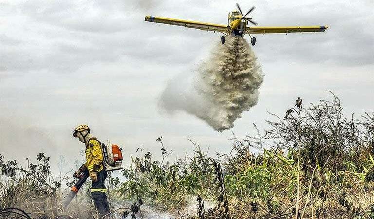 Bombeiros combatem 42 incêndios florestais neste domingo em Mato Grosso – Jornal Advogado – Em Mato Grosso