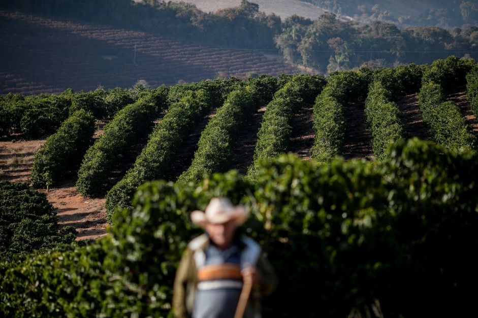 Brasil deixa de ganhar R$ 2,6 bilhões com atrasos na exportação de café