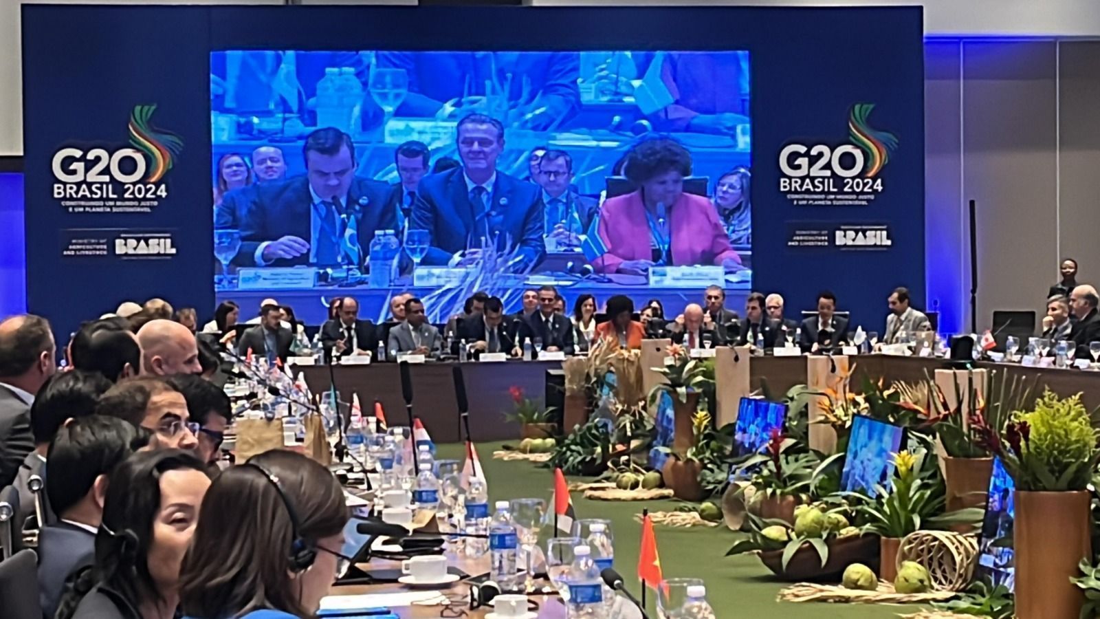 Declaração Ministerial do G20 Agro tem aprovação unânime