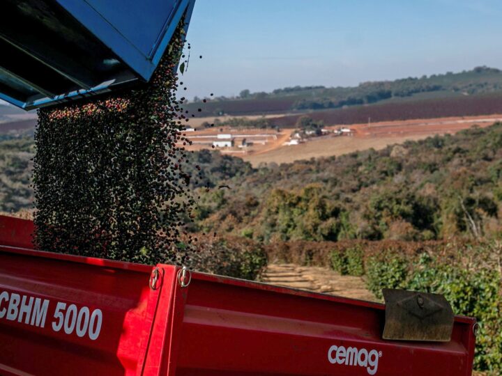 Com alimentos, preços ao produtor somam alta de 9,4% em 2024, diz IBGE