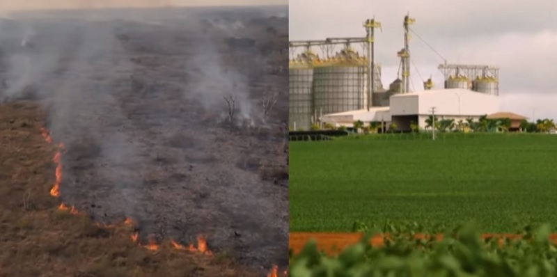 🔥Quem está por trás das queimadas?🔥Agro é exposto e governo promete caçar criminosos🔥Resumo do dia