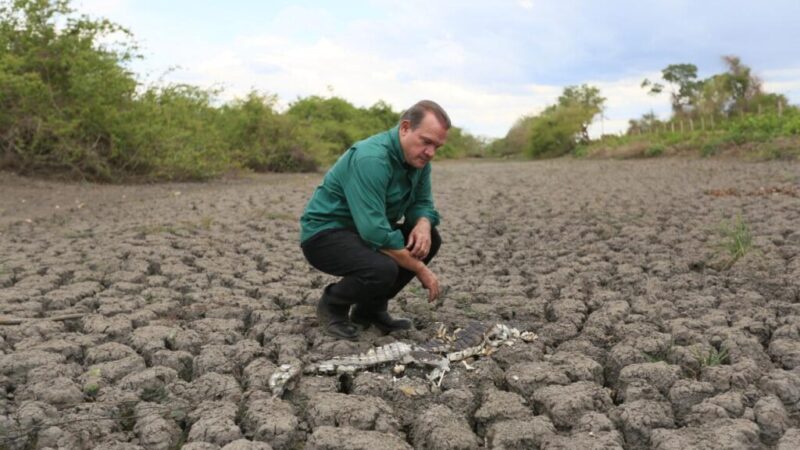 Wellington Fagundes cobra agilidade e ação do Congresso para aprovar uma lei específica para o Estatuto do Pantanal