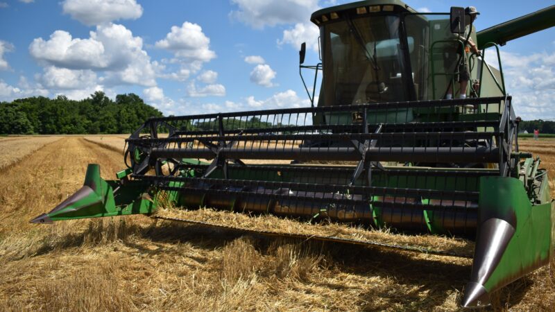 Produção agrícola do Brasil deve crescer 15,5% em dez anos, aponta Mapa