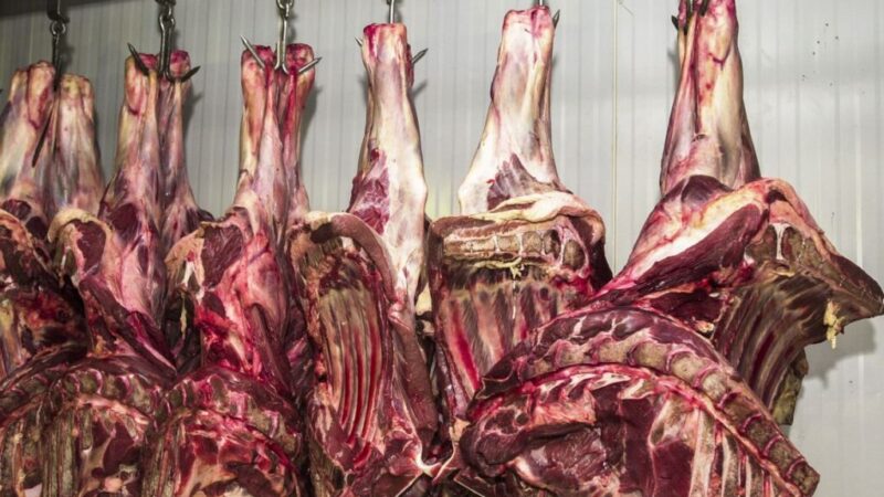 Carne encarece em todo o país em outubro com mudanças climáticas e inflação, mostra estudo – Jornal Advogado – Em Mato Grosso