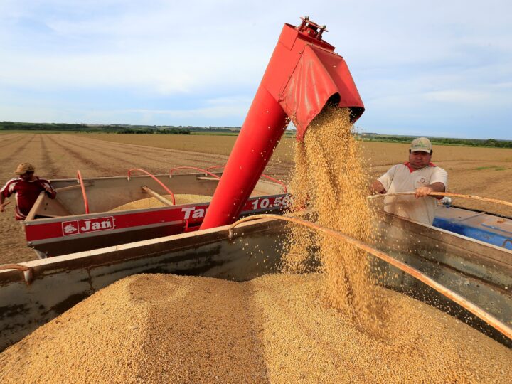 Soja e milho caem de máximas após Argentina reduzir impostos de exportação