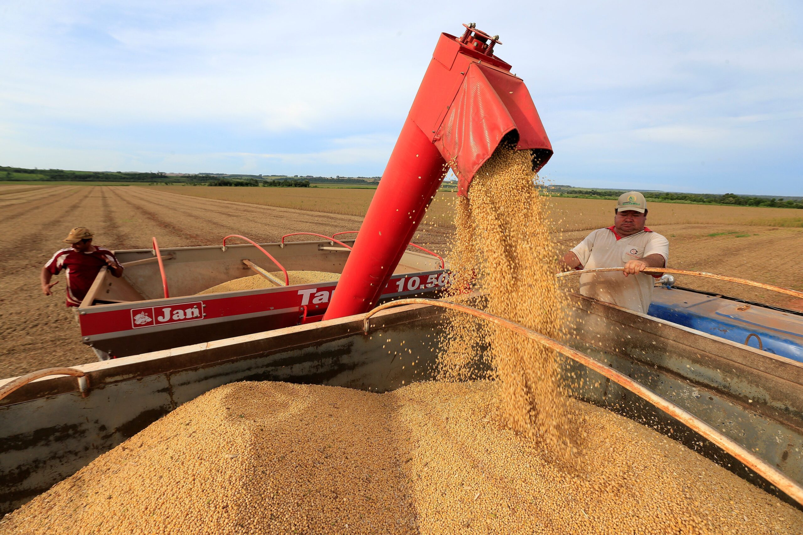 Soja e milho caem de máximas após Argentina reduzir impostos de exportação