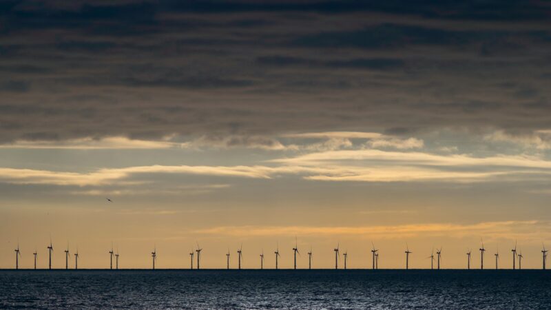 Conta de luz pode subir até 10% com “jabutis“ do PL das eólicas offshore