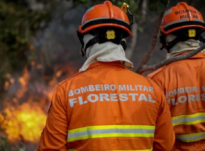 Governo Federal destina 45 milhões para fortalecer combate e prevenção a incêndios no Mato Grosso – Jornal Advogado – Em Mato Grosso