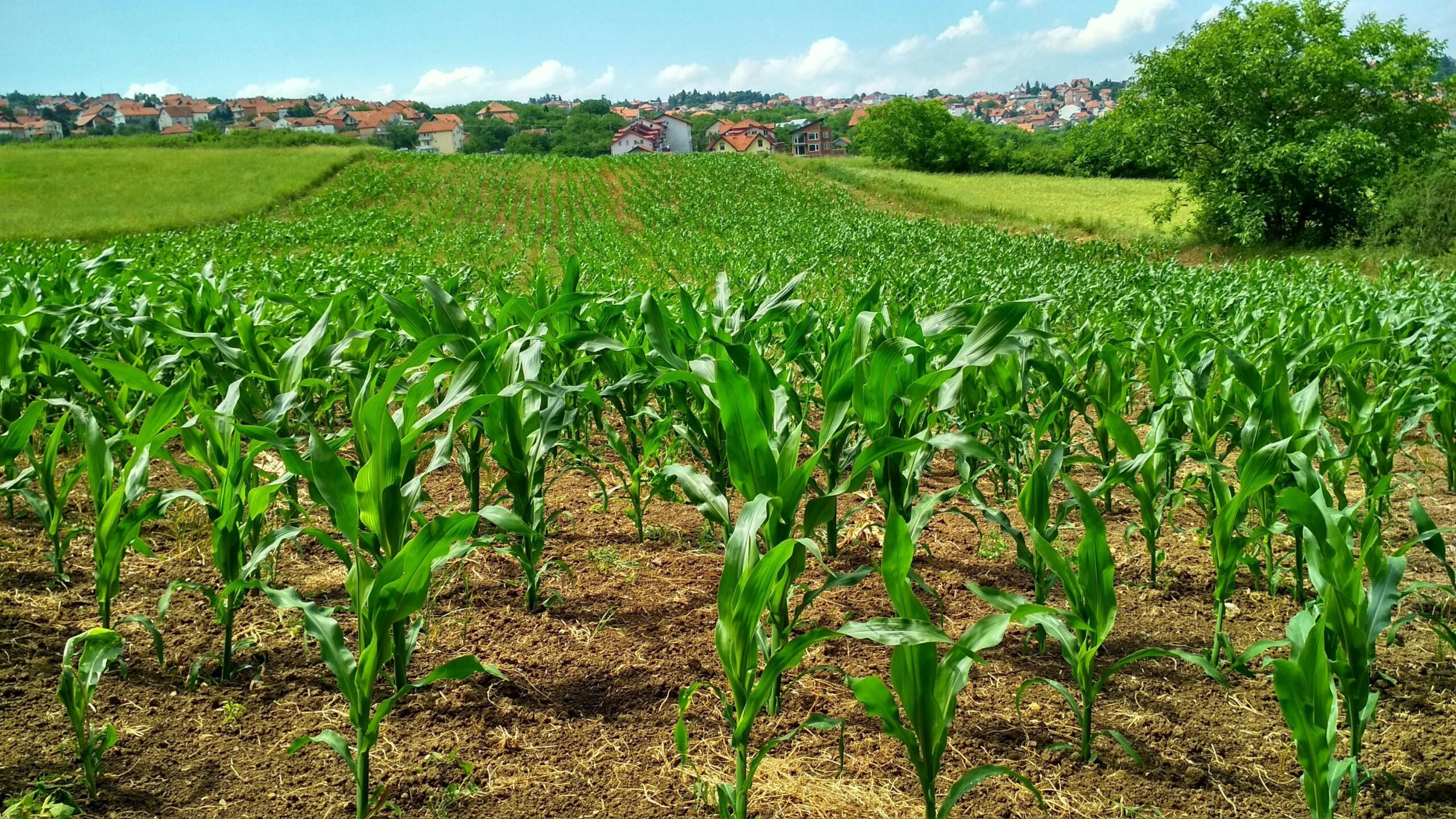 Governo institui grupo de trabalho para PAC da agricultura familiar