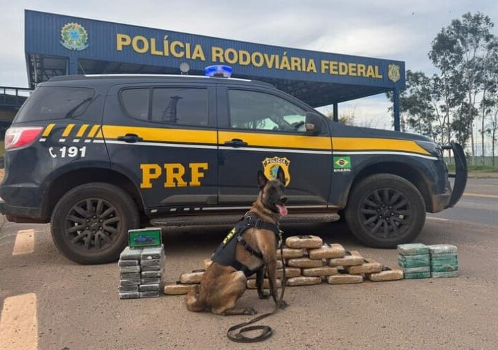 Justiça de Mato Grosso solta caminhoneiro flagrado com 45 quilos de drogas; MP recorre