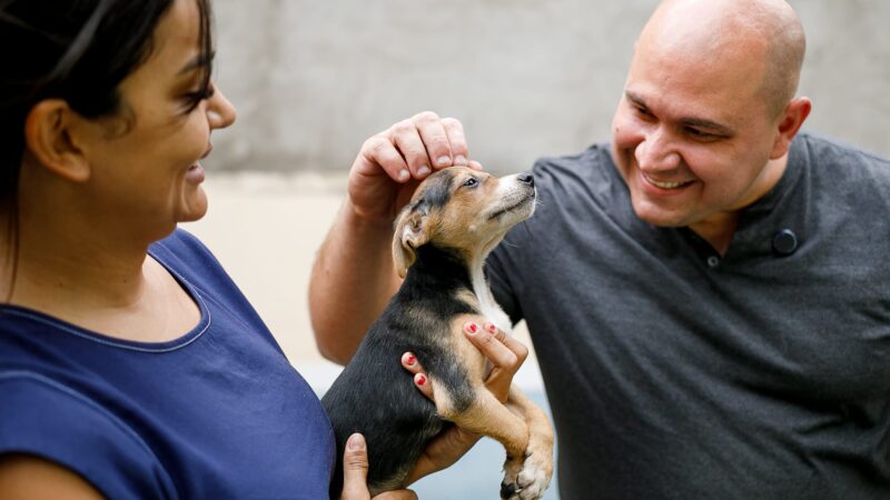 Prefeito reafirma compromisso com causa animal e incentiva adoção na capital