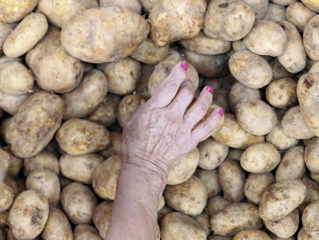 Preços da alface e da batata caem no atacado em janeiro, aponta Conab – Jornal Advogado – Em Mato Grosso