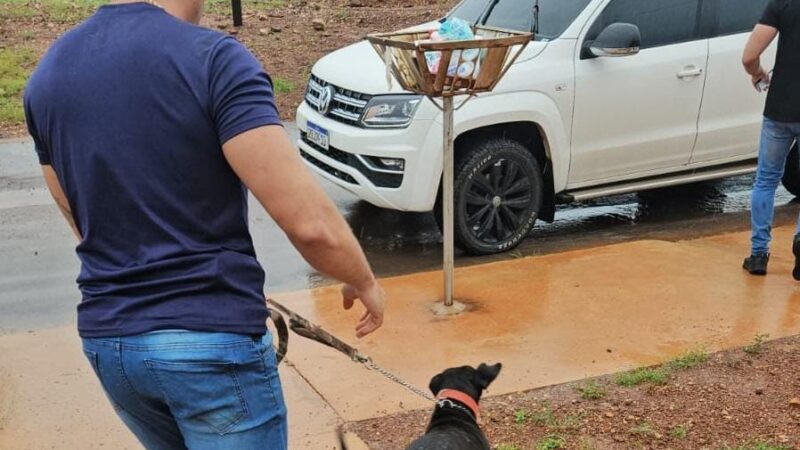 Cachorro vítima de maus-tratos é resgatado e tutor é preso em Várzea Grande