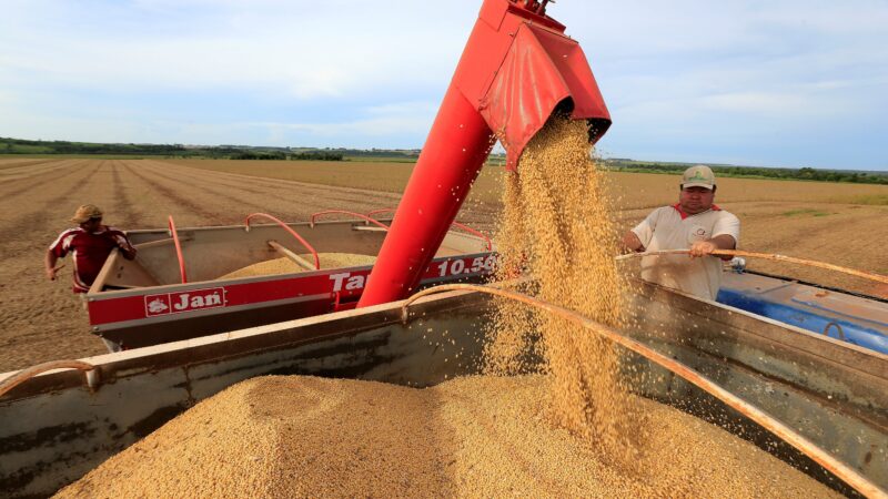 Colheita de soja do Brasil avança para 15% da área, diz AgRural