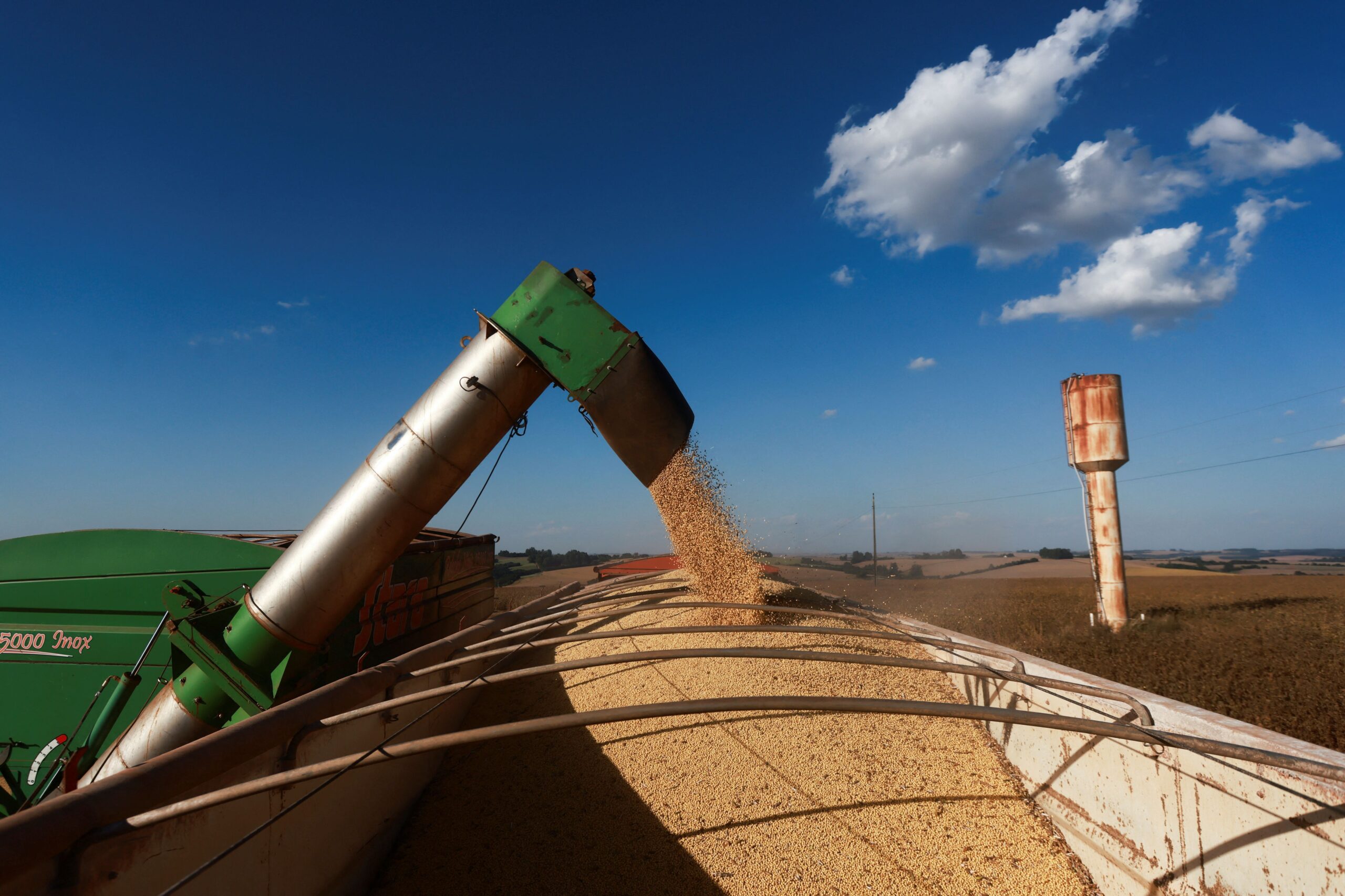 FPA defende expansão de armazéns e silos para reduzir preços de alimentos