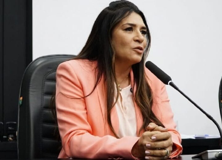 Vereadora diz que venezuelanos têm “costume do pedinte” e quer proibir crianças em semáforos