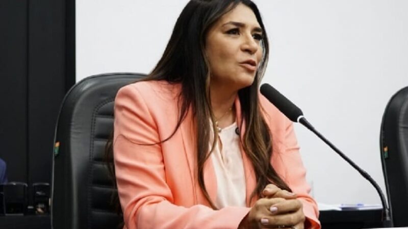 Vereadora diz que venezuelanos têm “costume do pedinte” e quer proibir crianças em semáforos