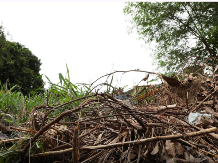 Mais de 300 terrenos baldios já passaram pela operação “Fiscaliza e Cuida”