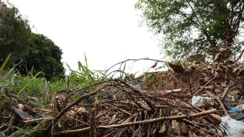 Mais de 300 terrenos baldios já passaram pela operação “Fiscaliza e Cuida”