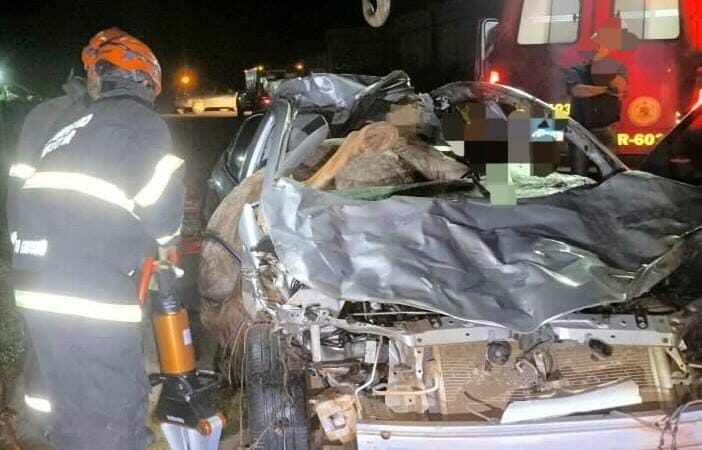 Motorista atropela cavalo na MT-170 e ambos morrem presos às ferragens